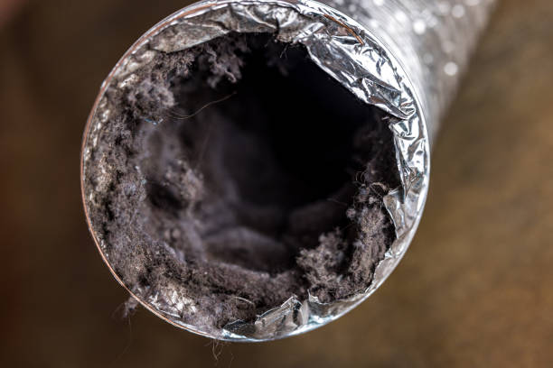 Best Affordable Air Duct Cleaning  in Winnemucca, NV
